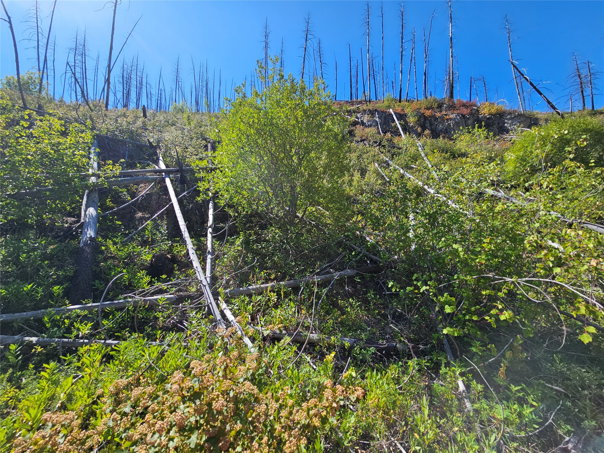 80 Upper Packer Gulch Road