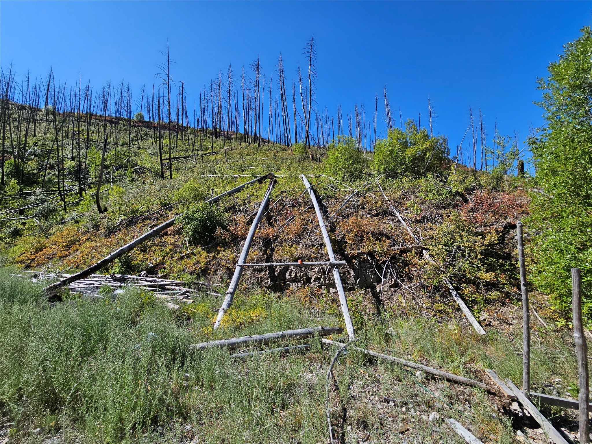 80 Upper Packer Gulch Road