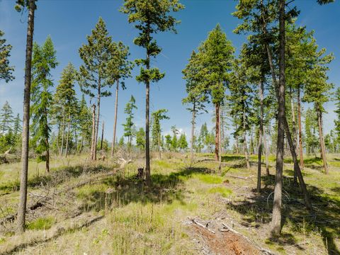 Tiny photo for 531 Northern Larch Trail #Lot 73, Kalispell, MT 59901 (MLS # 30053045)