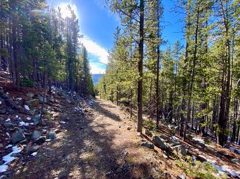 Photo of NNN section 28, Neihart, MT 59465 (MLS # 30080259)