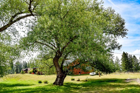 Tiny photo for 42377 Windy Ridge Lane, Ronan, MT 59864 (MLS # 30072700)