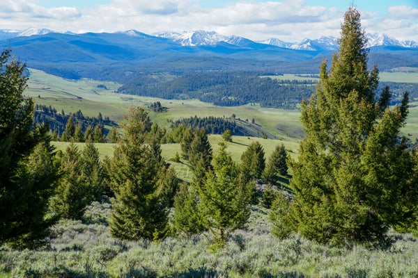 ADDRESS PRIVATE, PHILIPSBURG, MT 59858 - Image 73a8f4e0d96389a9e29bbbe0994f2e5e/547062969