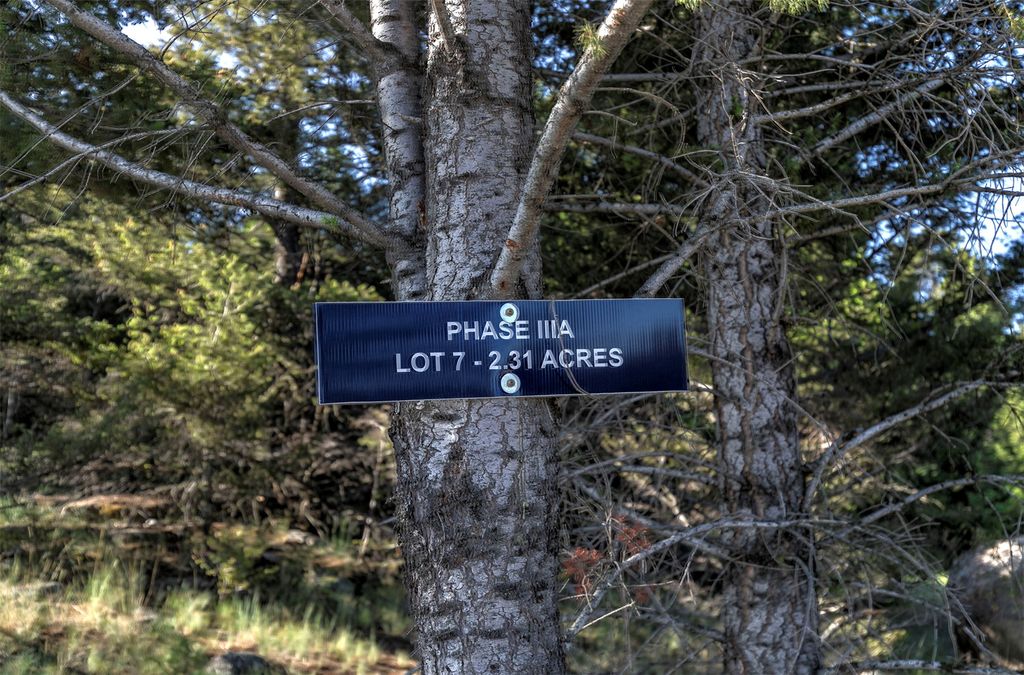 Photo of NHN Lot 7 Phase 3A Dolus Lakes Road #Lot 7, Deer Lodge, MT 59722 (MLS # 30069531)