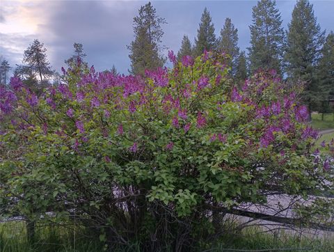 Tiny photo for 1785 Hodgson Road, Whitefish, MT 59937 (MLS # 30066705)