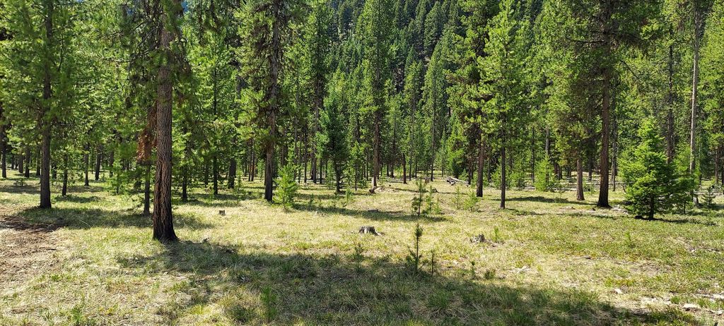 Photo of NHN (Parcel D) Deer Walk Way, Darby, MT 59829 (MLS # 30071275)