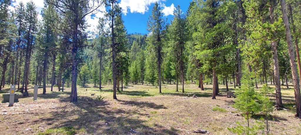Photo of NHN (Parcel D) Deer Walk Way, Darby, MT 59829 (MLS # 30071275)