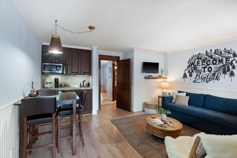 180 Vista Lane 236 Bigfork MT 59911