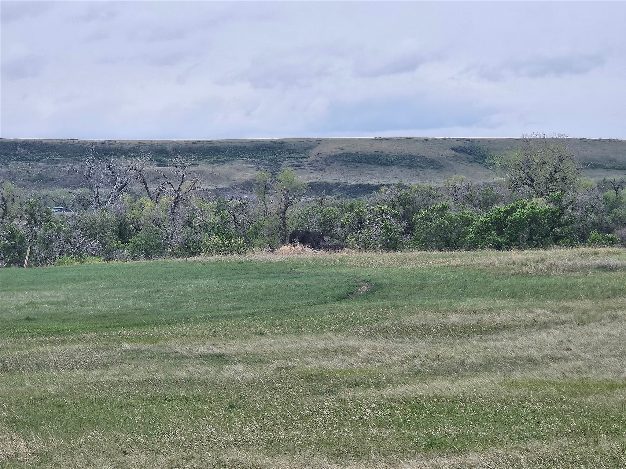 Photo 1 of 11 — Lot 3 Hamilton Place, Great Falls, MT 59404