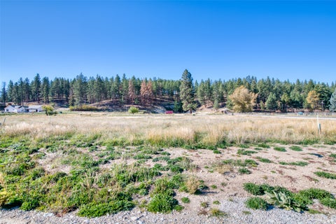 Photo of Lot 22 Darby Estates, Darby, MT 59829 (MLS # 30080106)