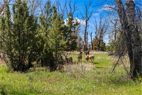 Tiny photo for 460 Lower Deep Creek Road, Townsend, MT 59644 (MLS # 30076400)