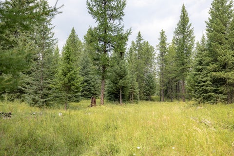 Tiny photo for NHN Fortine Creek Road, Trego, MT 59934 (MLS # 30076445)