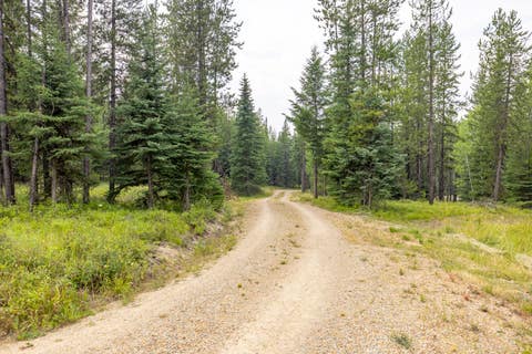 Tiny photo for NHN Fortine Creek Road, Trego, MT 59934 (MLS # 30076445)