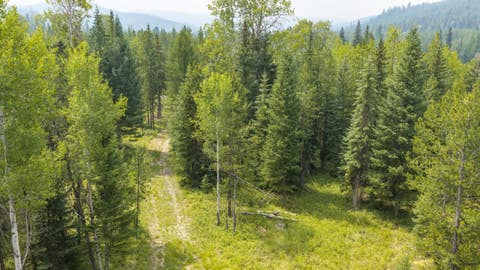 Tiny photo for NHN Fortine Creek Road, Trego, MT 59934 (MLS # 30076445)