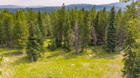 Tiny photo for NHN Fortine Creek Road, Trego, MT 59934 (MLS # 30076445)