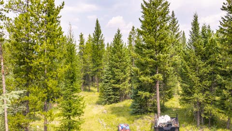 Tiny photo for NHN Fortine Creek Road, Trego, MT 59934 (MLS # 30076445)