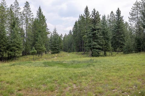 Tiny photo for NHN Fortine Creek Road, Trego, MT 59934 (MLS # 30076445)