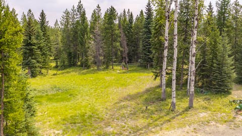 Tiny photo for NHN Fortine Creek Road, Trego, MT 59934 (MLS # 30076445)