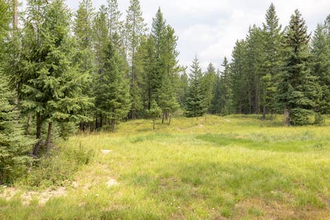 Tiny photo for NHN Fortine Creek Road, Trego, MT 59934 (MLS # 30076445)