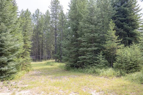 Tiny photo for NHN Fortine Creek Road, Trego, MT 59934 (MLS # 30076445)