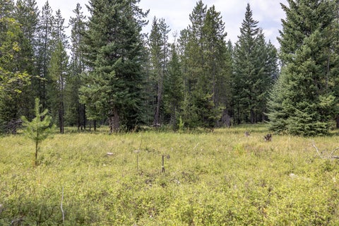 Tiny photo for NHN Fortine Creek Road, Trego, MT 59934 (MLS # 30076445)