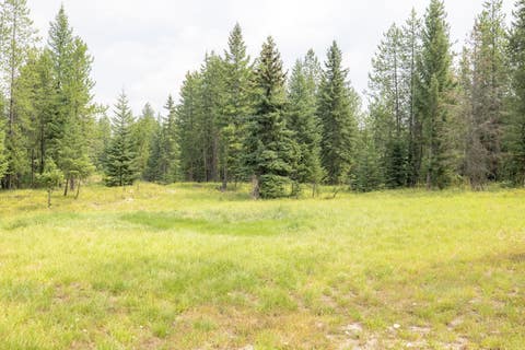 Tiny photo for NHN Fortine Creek Road, Trego, MT 59934 (MLS # 30076445)