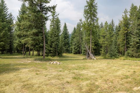 Tiny photo for NHN Fortine Creek Road, Trego, MT 59934 (MLS # 30076445)