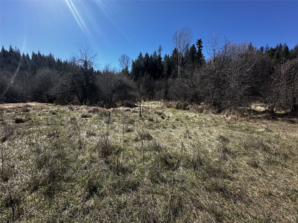 Photo of 186 Tailback Road, Troy, MT 59935 (MLS # 30068290)