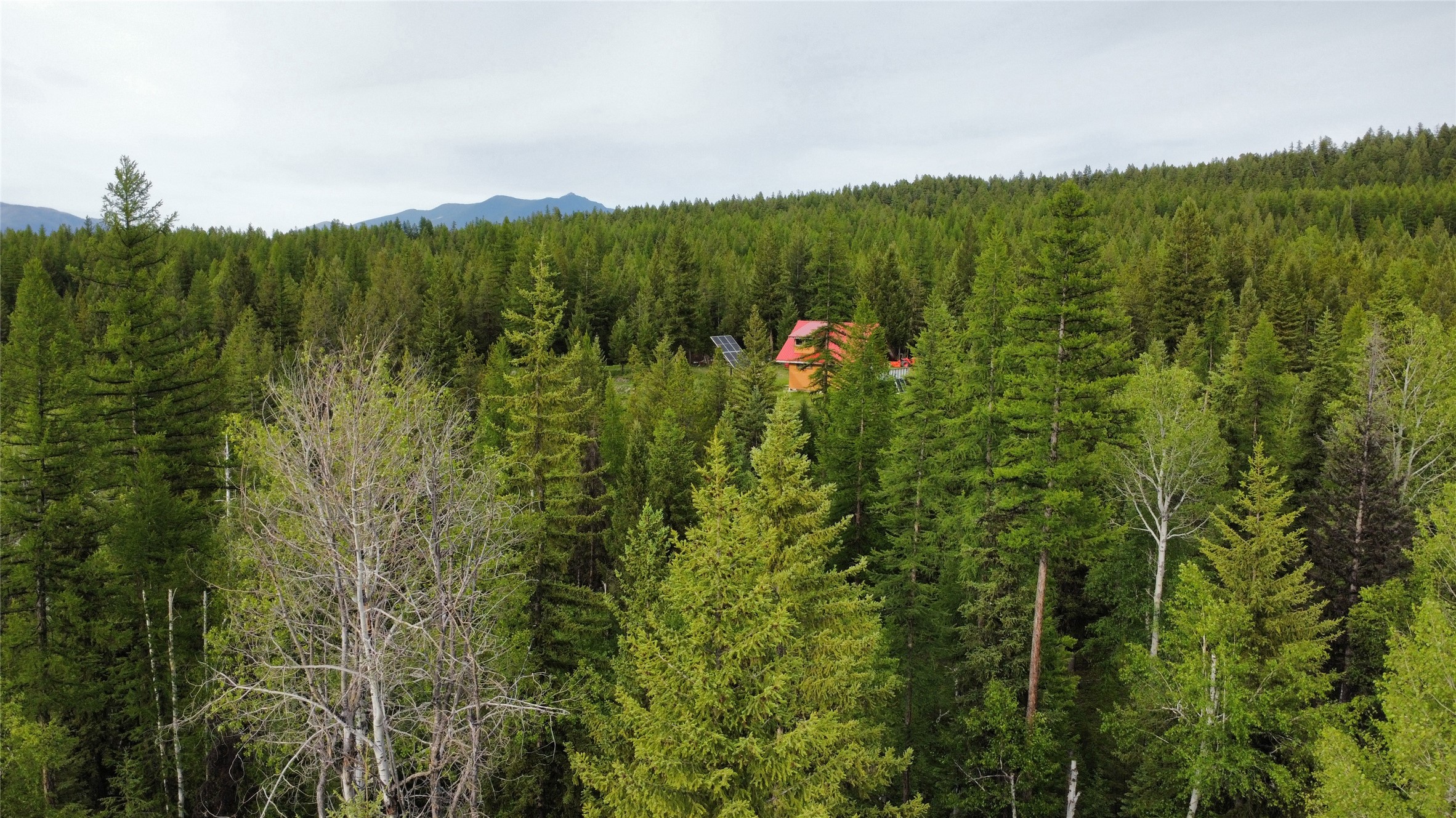 347 Soaring Eagle Trail
