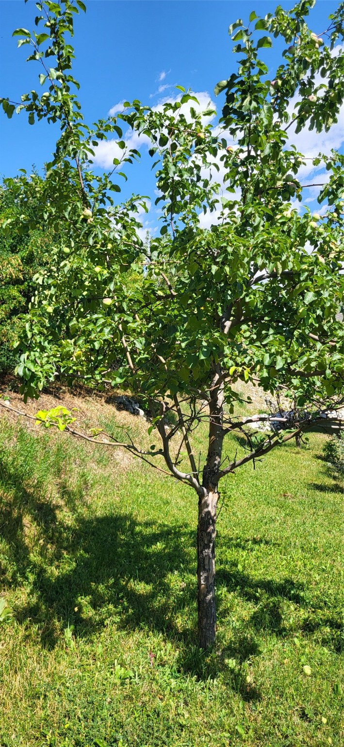 Helena, Montana 59601, United States, 3 Bedrooms Bedrooms, ,2 BathroomsBathrooms,Residential,Pending,50105