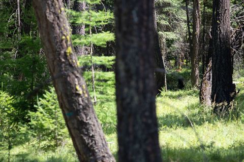 Tiny photo for 161 Rosewood #Lot 10, Whitefish, MT 59937 (MLS # 30053683)