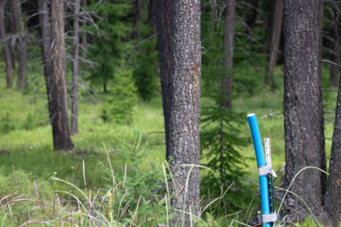 Tiny photo for 161 Rosewood #Lot 10, Whitefish, MT 59937 (MLS # 30053683)