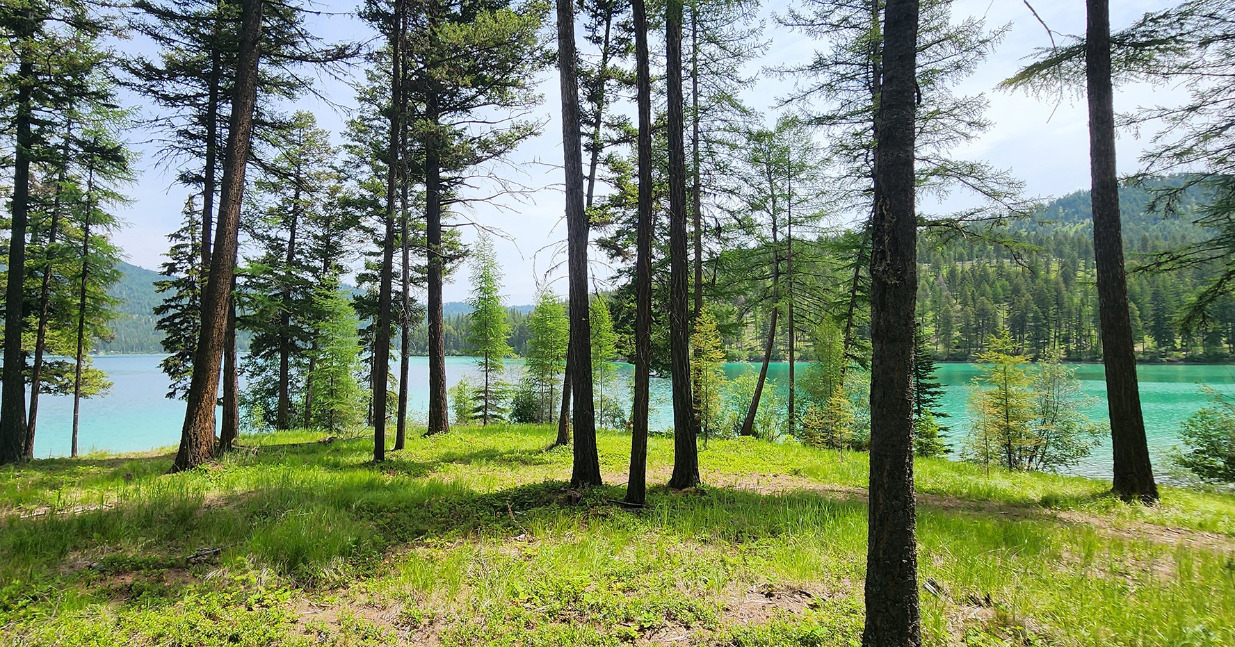 nhn Ashley Lake Road