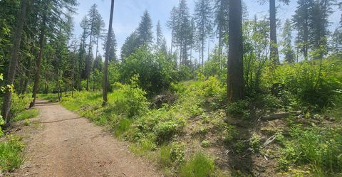 Tiny photo for nhn S Ashley Lake Road, Kalispell, MT 59901 (MLS # 30053311)