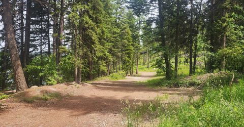 Tiny photo for nhn S Ashley Lake Road, Kalispell, MT 59901 (MLS # 30053311)