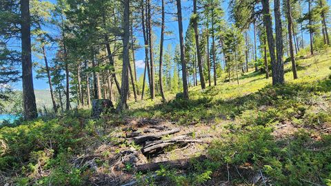 Tiny photo for nhn S Ashley Lake Road, Kalispell, MT 59901 (MLS # 30053311)