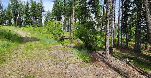 Tiny photo for nhn S Ashley Lake Road, Kalispell, MT 59901 (MLS # 30053311)