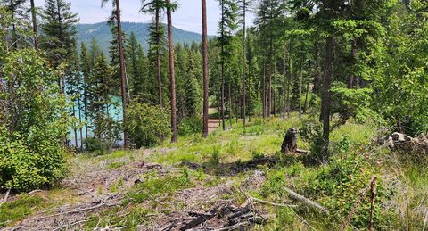 Tiny photo for nhn S Ashley Lake Road, Kalispell, MT 59901 (MLS # 30053311)