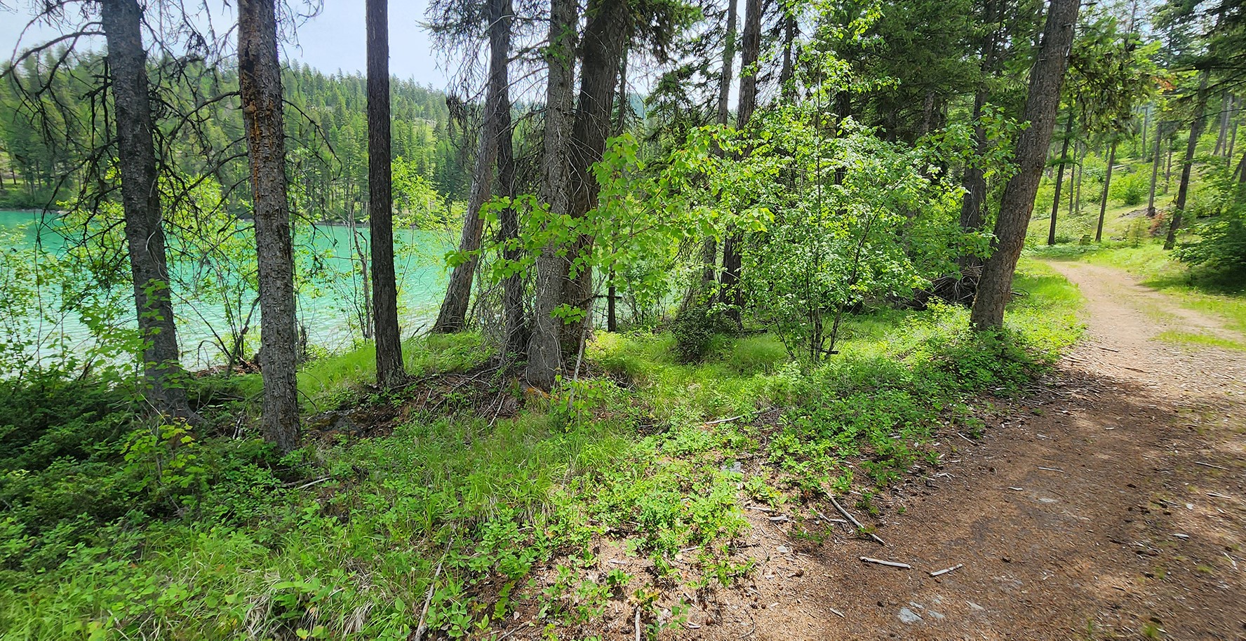 nhn Ashley Lake Road