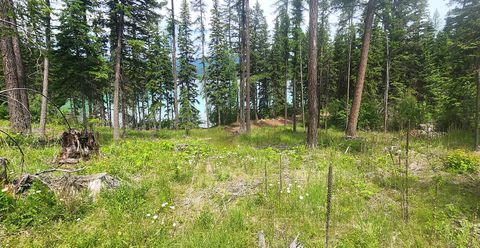 Tiny photo for nhn S Ashley Lake Road, Kalispell, MT 59901 (MLS # 30053311)