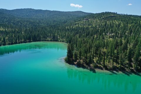 Tiny photo for nhn S Ashley Lake Road, Kalispell, MT 59901 (MLS # 30053311)
