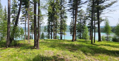 Tiny photo for nhn S Ashley Lake Road, Kalispell, MT 59901 (MLS # 30053311)