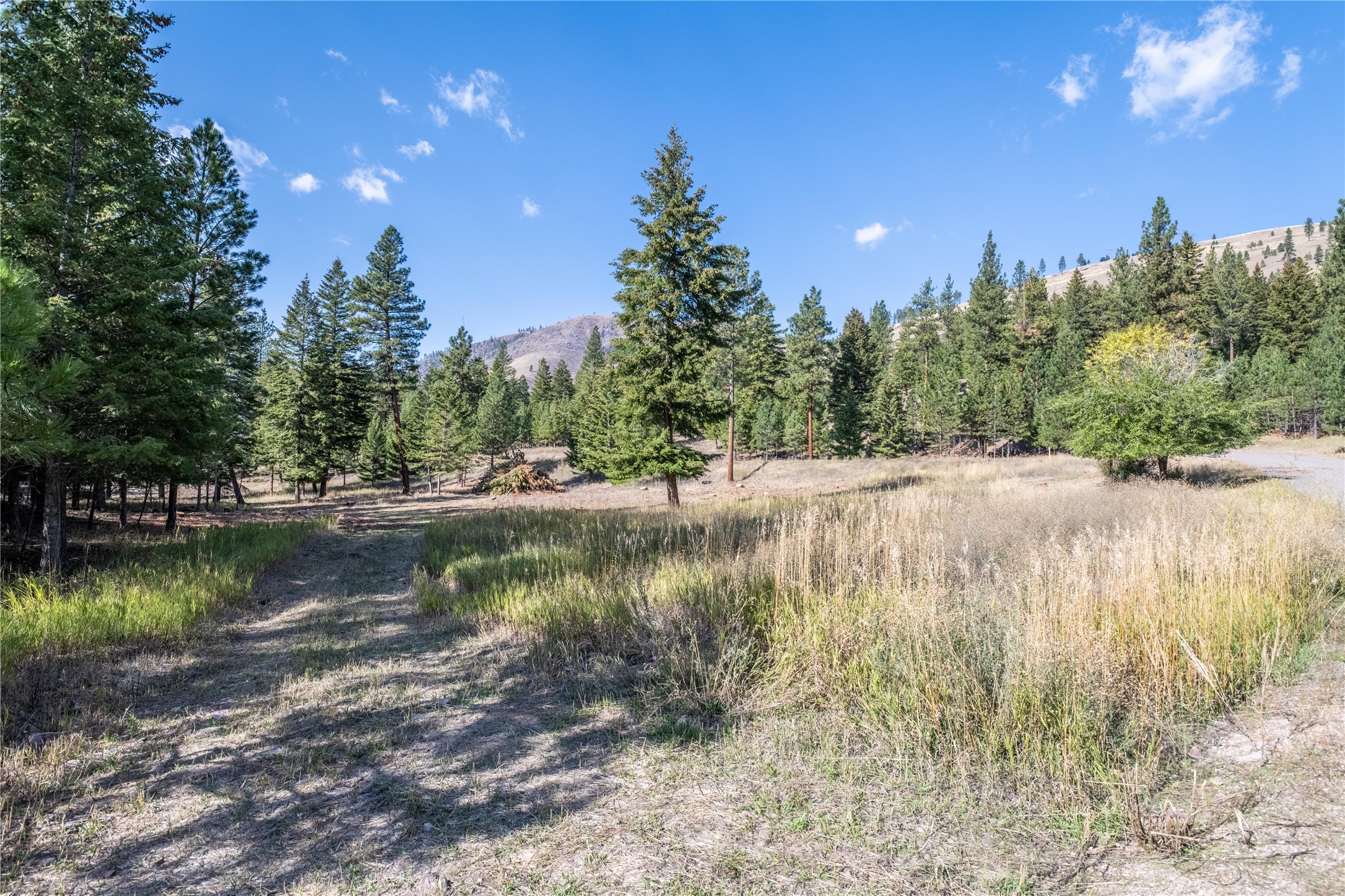 14240 Caddisfly Court