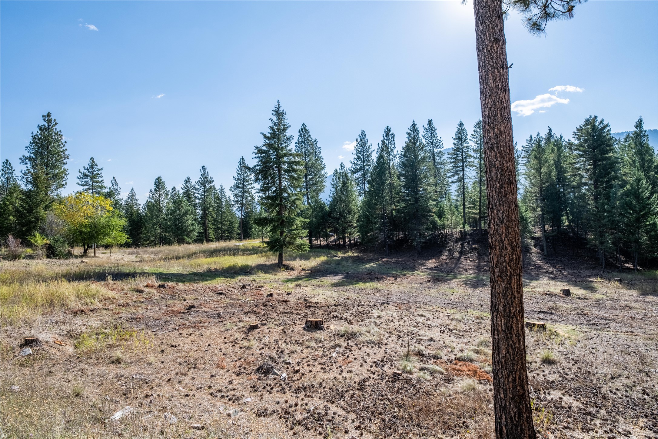 14240 Caddisfly Court