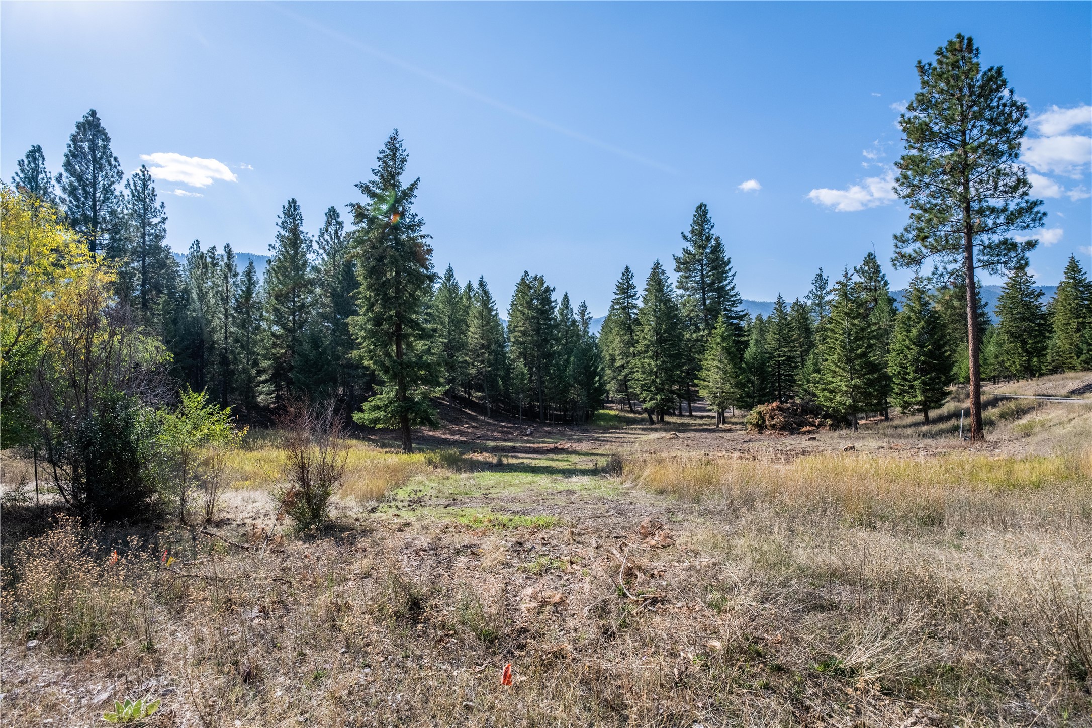 14240 Caddisfly Court