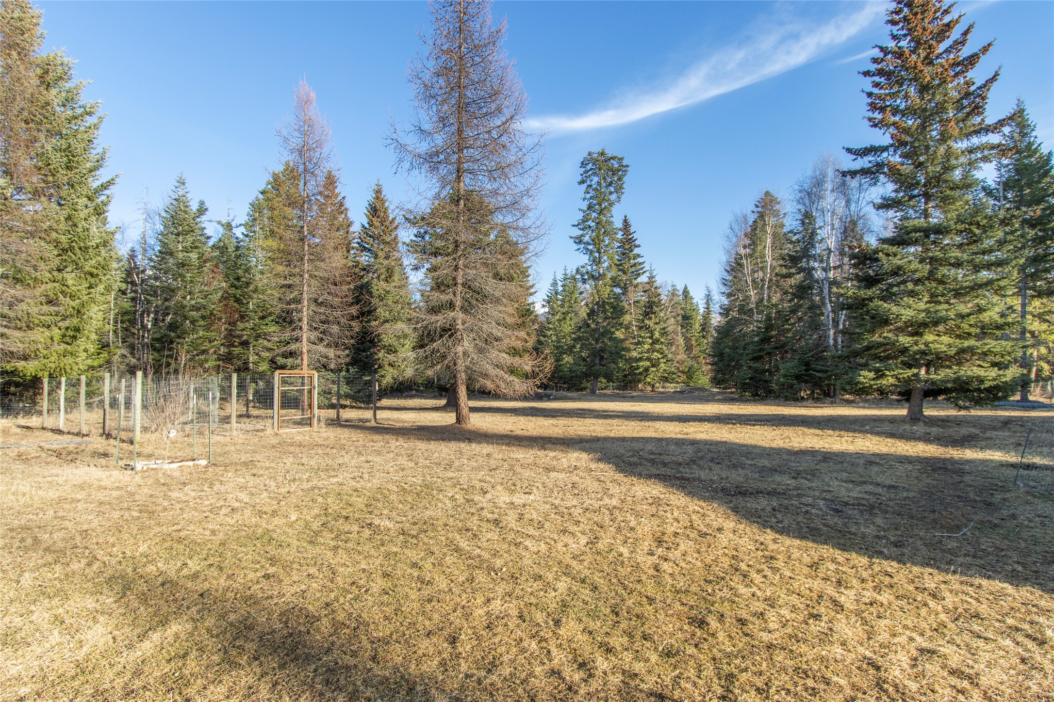 12524 Sunburst Drive