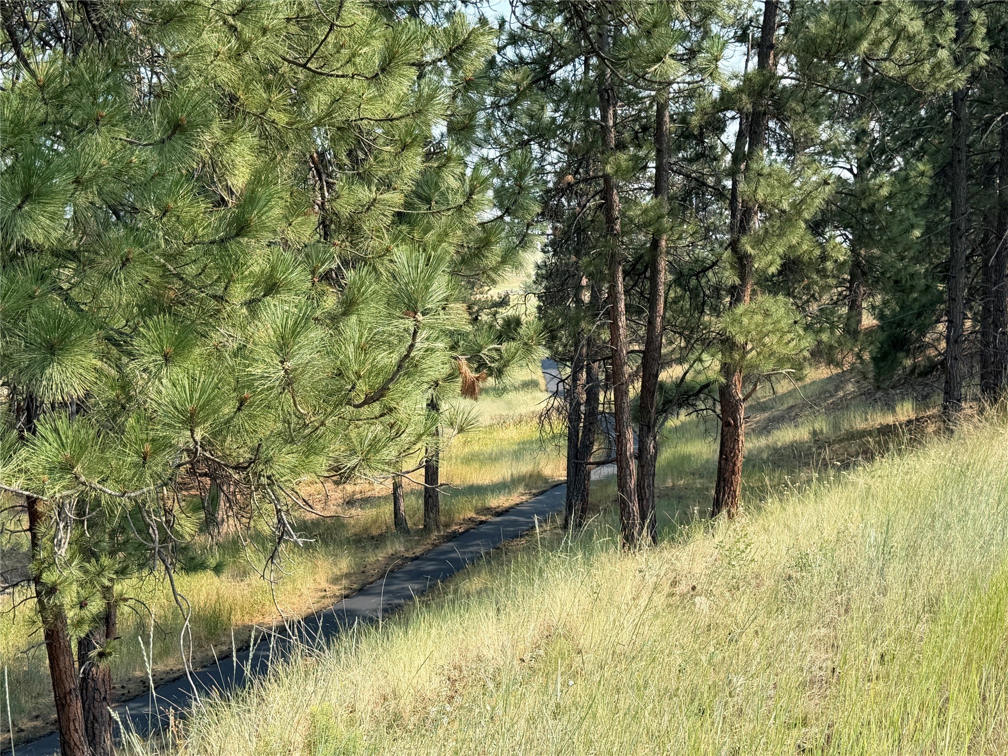 984 Sandhill Loop