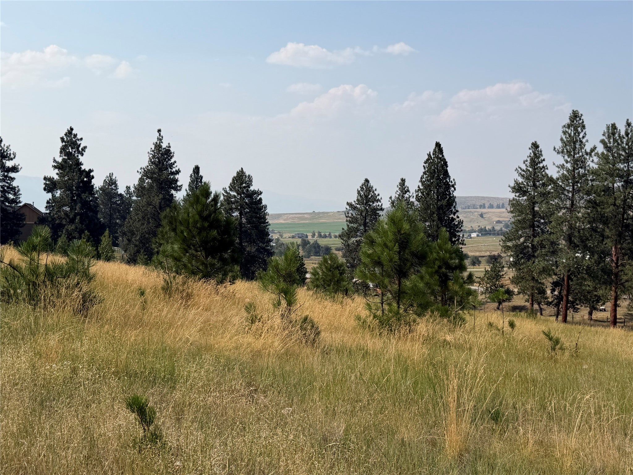 984 Sandhill Loop