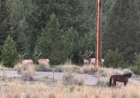 Photo of NHN TBD, Anaconda, MT 59711 (MLS # 30079662)