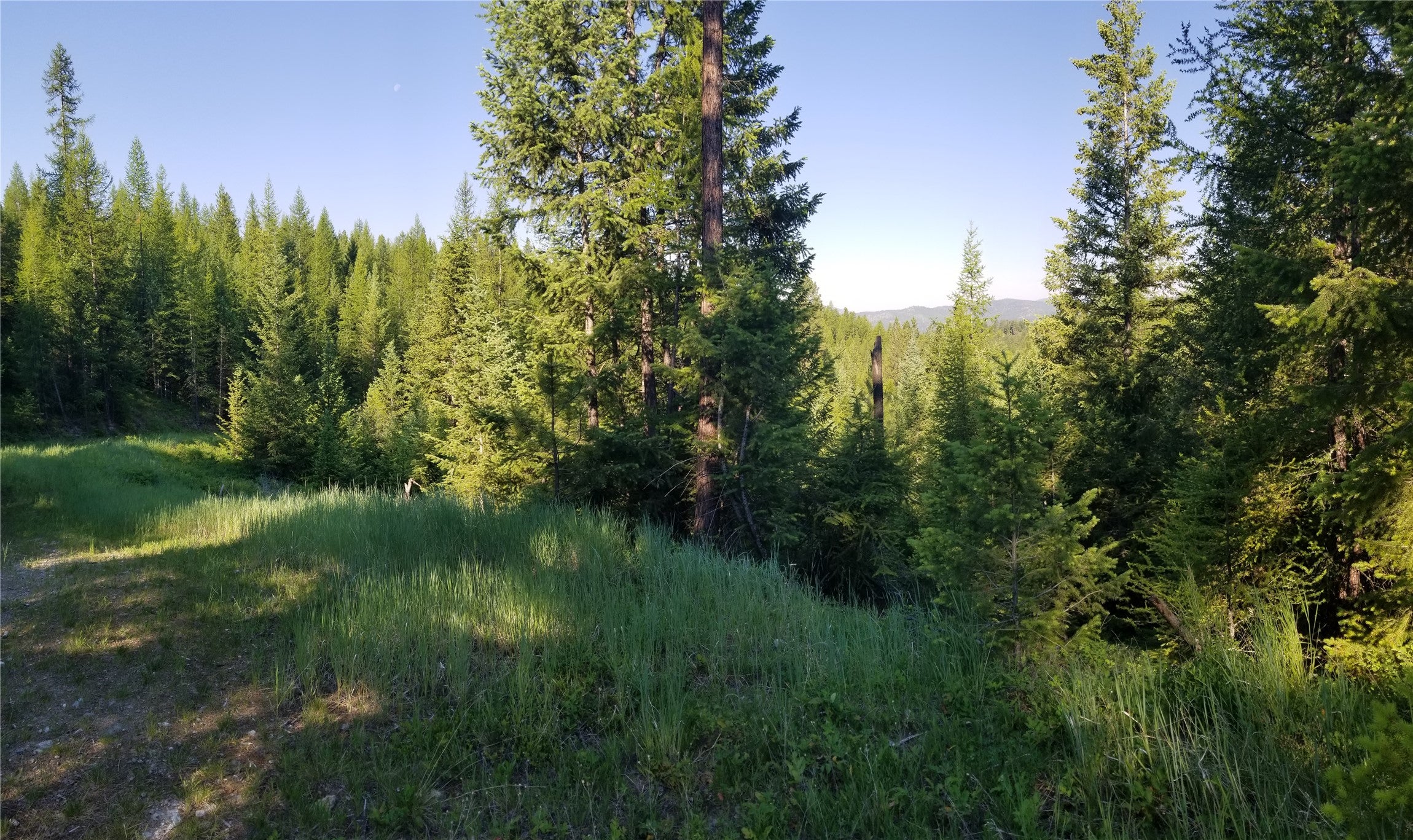 E Half Lot 2A Haywire Gulch