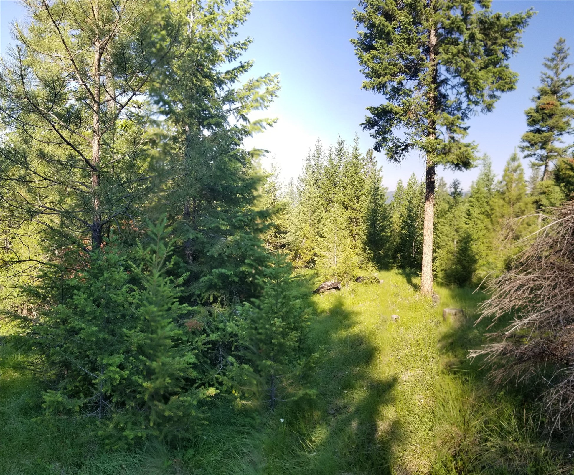 E Half Lot 2A Haywire Gulch